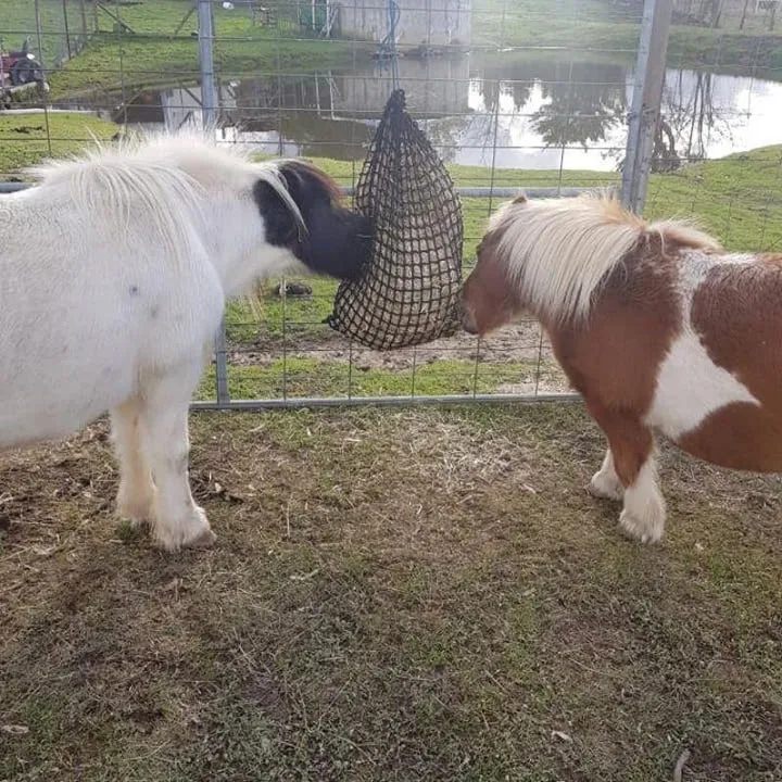 Knotless Slow Feeder Haynet