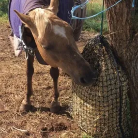 Knotted Slow Feeder Haynets