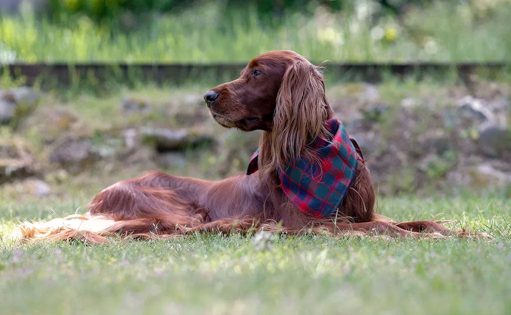 Original Shepherd's Wool Utility Cloth