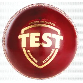 SG Test Cricket Ball