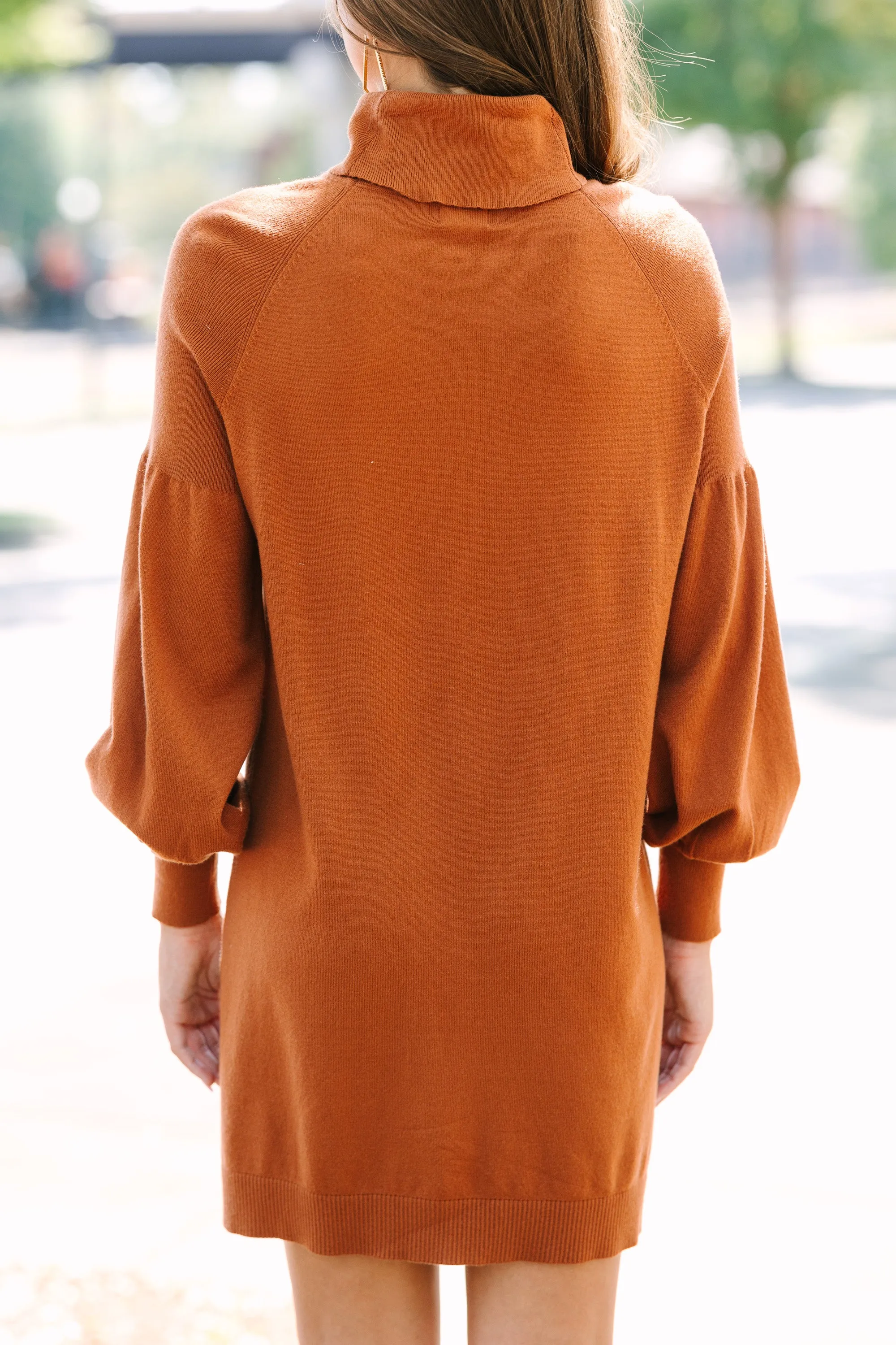 Wherever You Go Camel Brown Turtleneck Sweater Dress